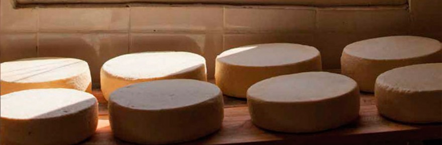 MG_IMAT_Queijo_janela