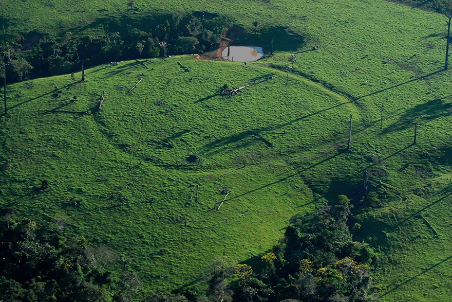 AC_Xapuri_Geoglifo_no_Acre