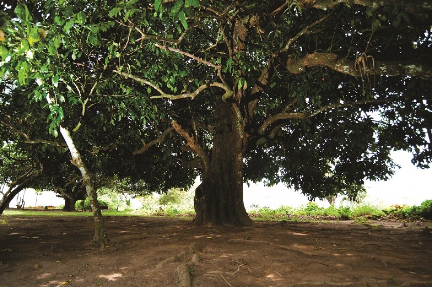 AL_Serra_da_Barriga01