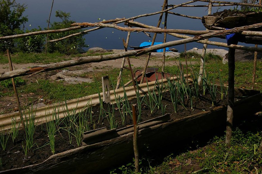 AM_IMAT_Sistema_Agricola_Rio_Negro