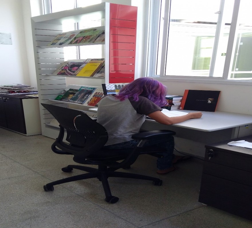 BibliotecaIphanES