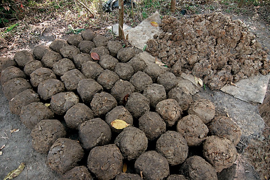 ES_IMAT_Paneleiras_de_Goiabeiras