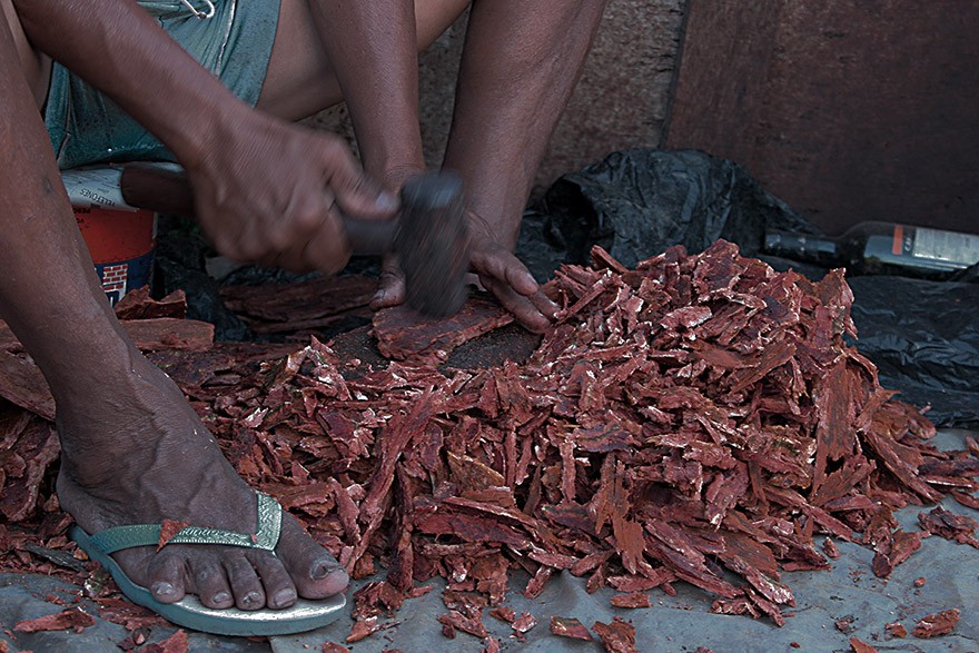 ES_IMAT_Paneleiras_de_Goiabeiras