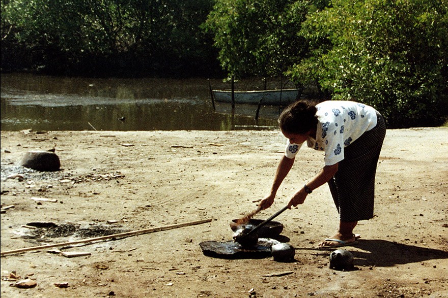 ES_IMAT_Paneleiras_de_Goiabeiras