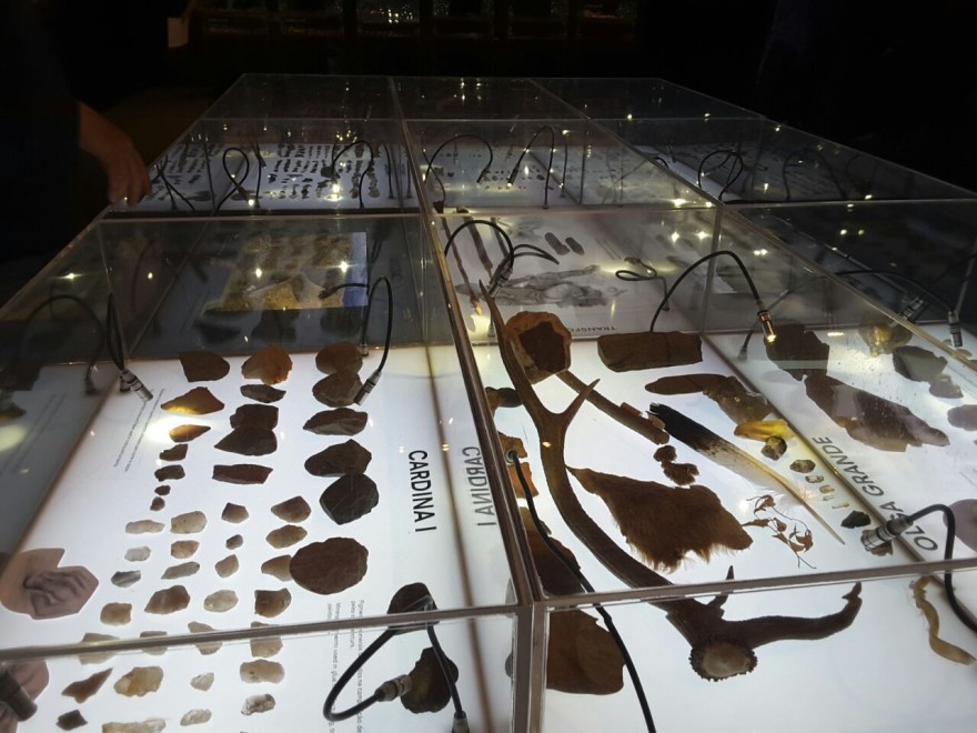 Museu de Arte e Arqueologia do Vale do Côa