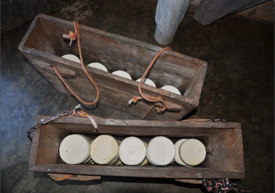 MG_IMAT_Caixotes_de_Transporte__Celia