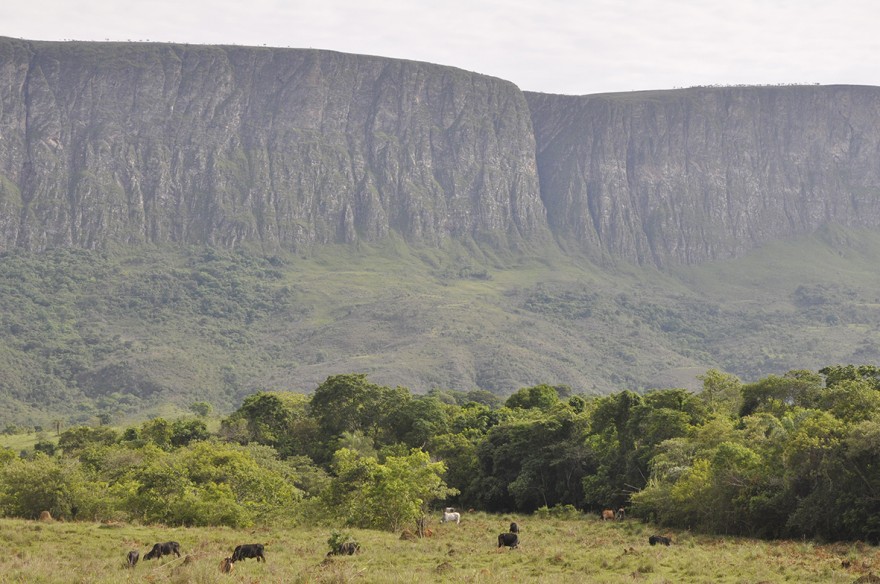 MG_IMAT_Modo_Artesanal_Queijo_Minas_Leonardo_Dupin(12)