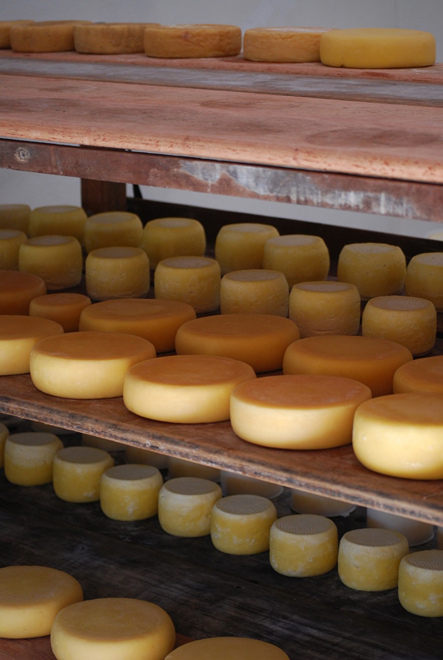 MG_IMAT_Modo_Artesanal_Queijo_Minas_Leonardo_Dupin(4)