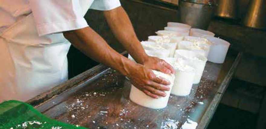 MG_IMAT_Modo_de_Fazer_Queijo_de_Minas_17