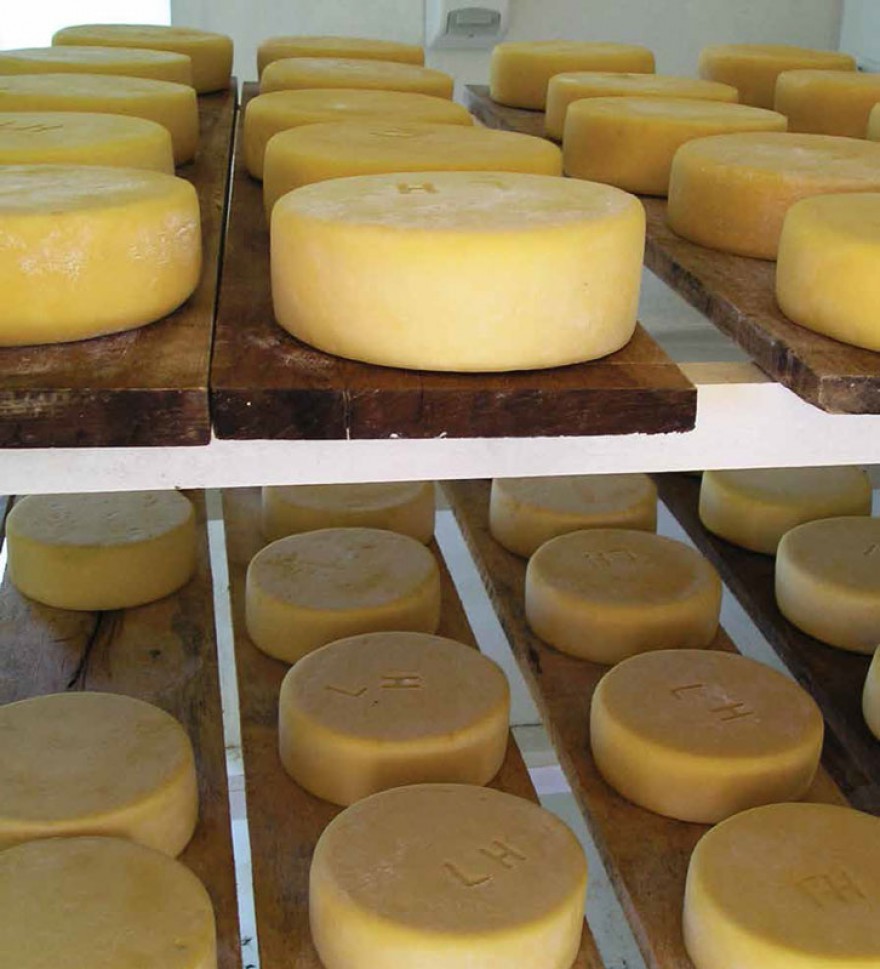 Modo Artesanal de Fazer o Queijo de Minas