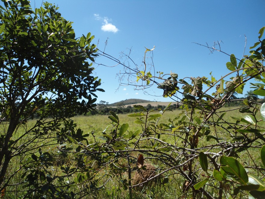 MG_IBIA_Quilombo_do_Ambrosio_remanescentes_(2)