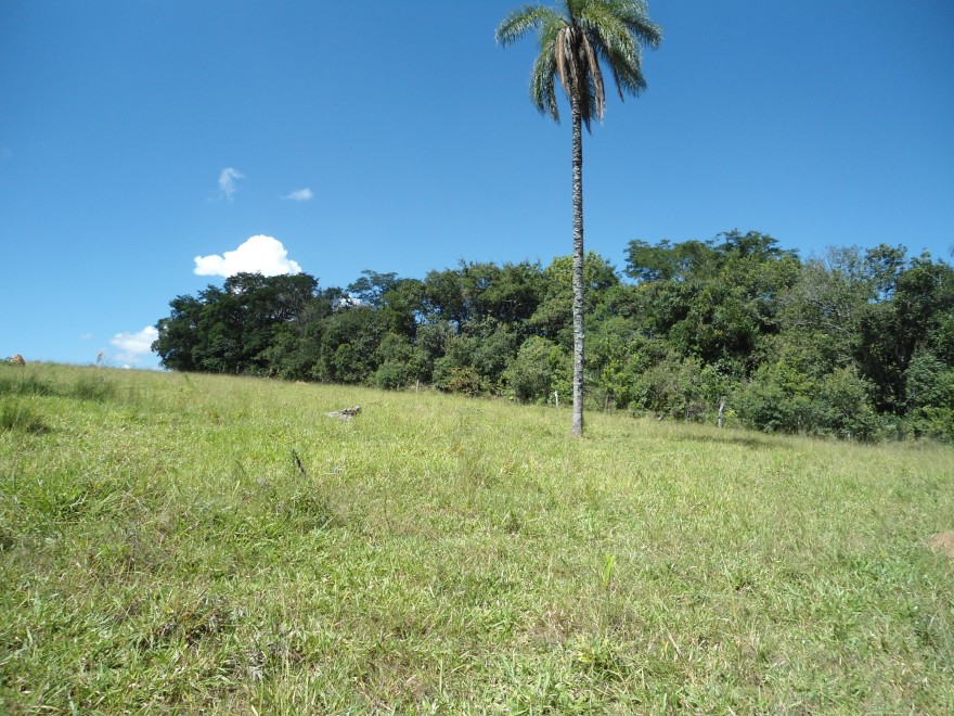 MG_IBIA_Quilombo_do_Ambrosio_remanescentes_(3)