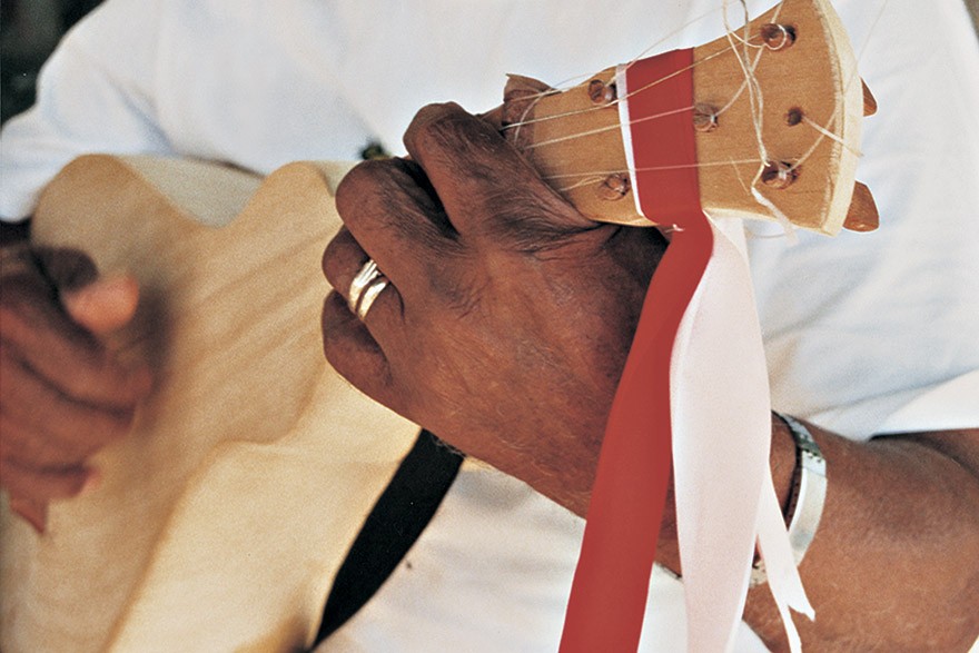 MT_IMAT_Viola_de_Cocho