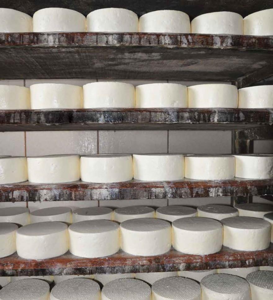 MG_IMAT_Modo_de_Fazer_Queijo_de_Minas_07