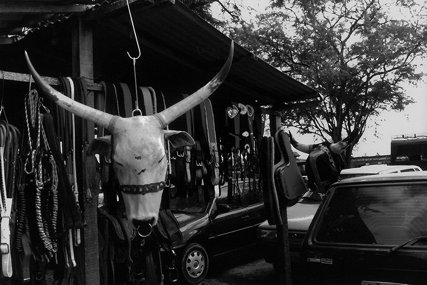 PE_IMAT_Feira_de_Caruaru