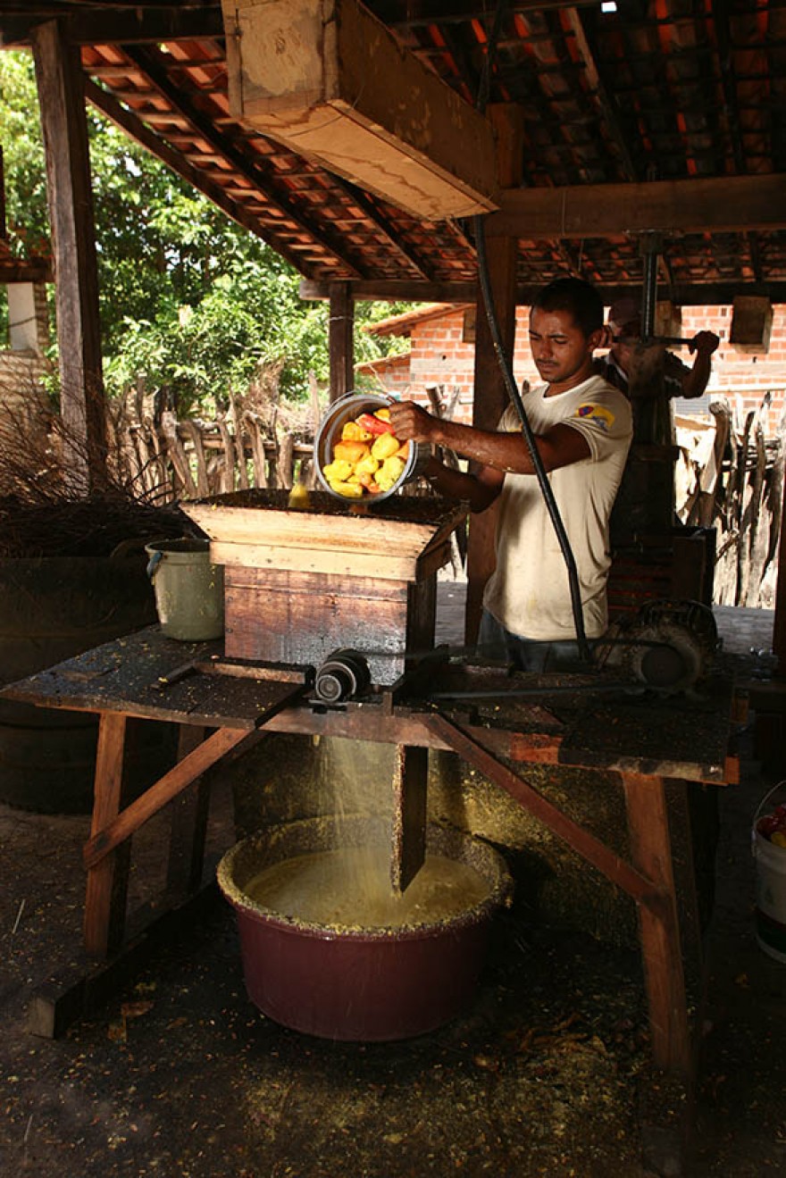 PI_IMAT_Cajuina_Producao