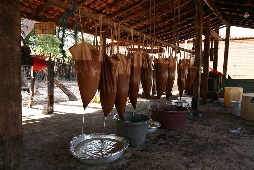 PI_IMAT_Cajuina_Producao