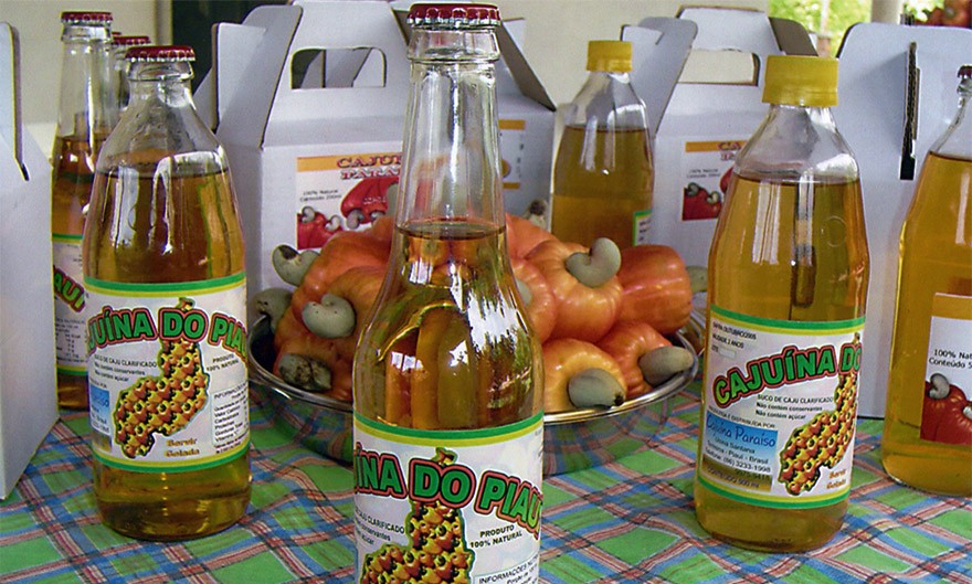 PI_IMAT_Cajuina_artesanal