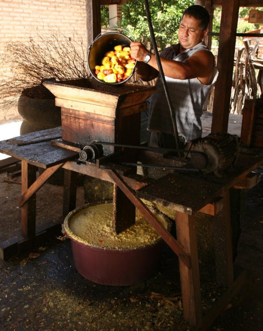 PI_IMAT_Cajuina_Artesanal