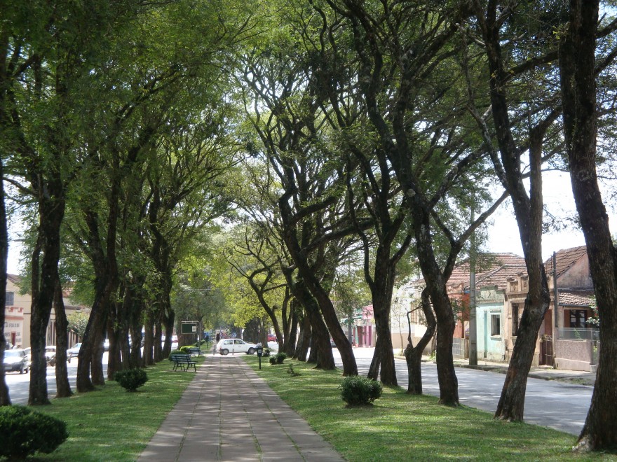 Av. Manoel Pedro (Antiga Av. das Tropas)