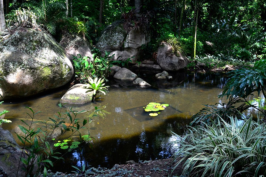 RJ_Rio_de_Janeiro_Sitio_Roberto_Burle_Marx
