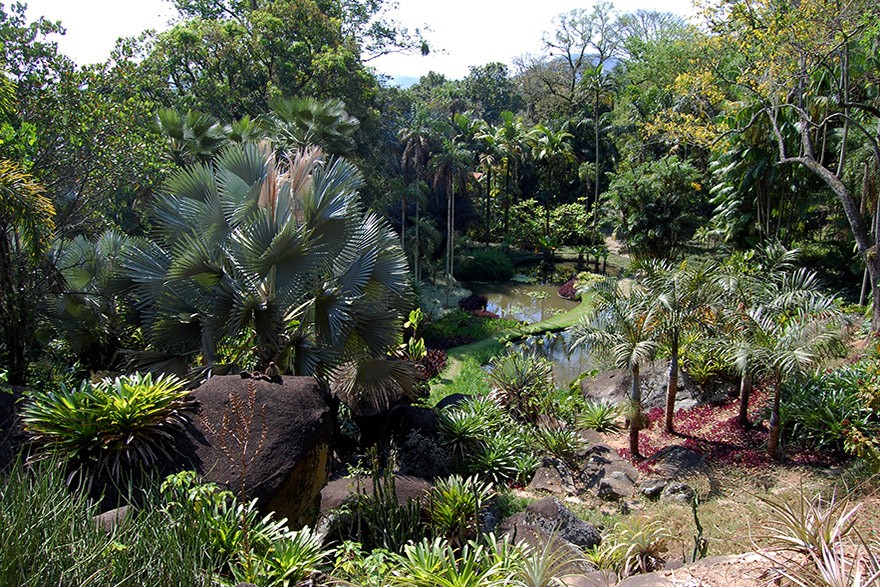 RJ_Rio_de_Janeiro_Sitio_Roberto_Burle_Marx