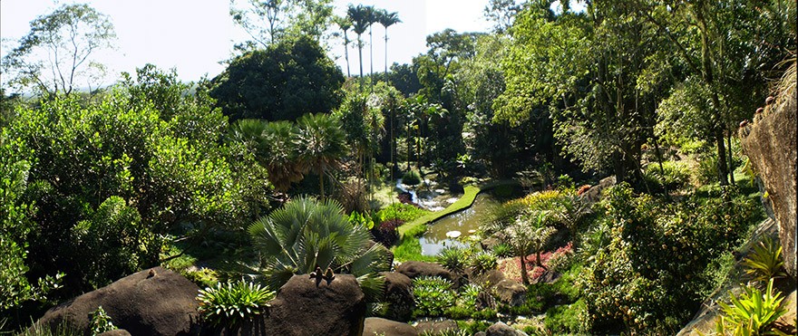 RJ_Rio_de_Janeiro_Sitio_Roberto_Burle_Marx_Jardim