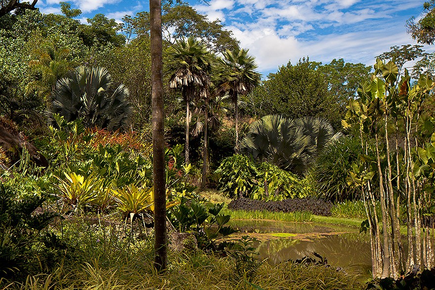RJ_Rio_de_Janeiro_Sitio_Roberto_Burle_Marx