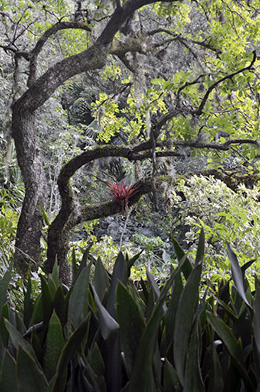 RJ_Rio_de_Janeiro_Sitio_Roberto_Burle_Marx