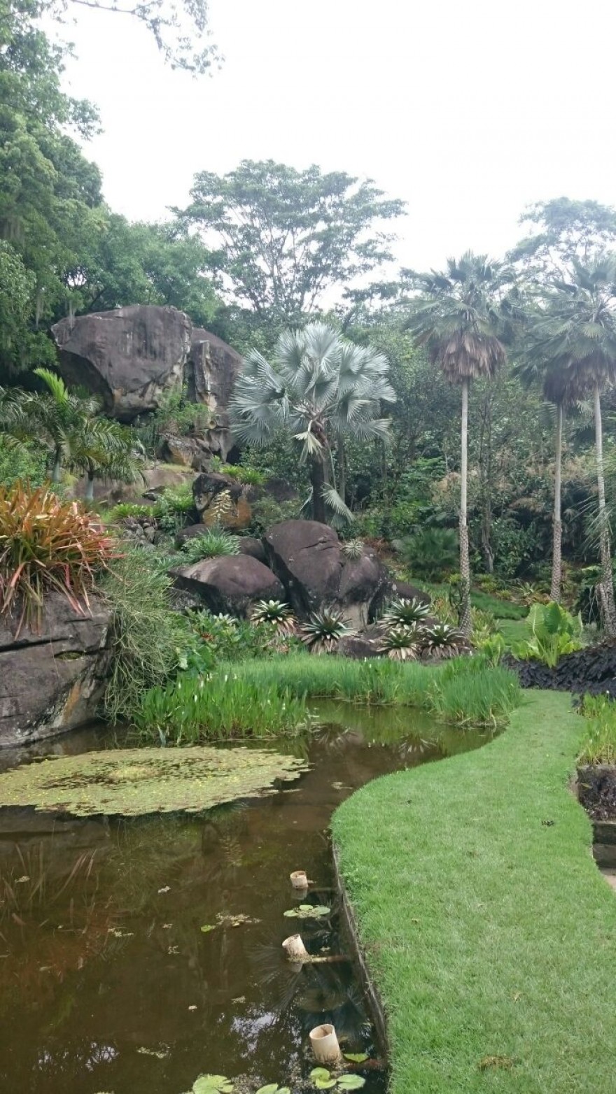 RJ_Rio_de_Janeiro_Sitio_Burle_Marx2