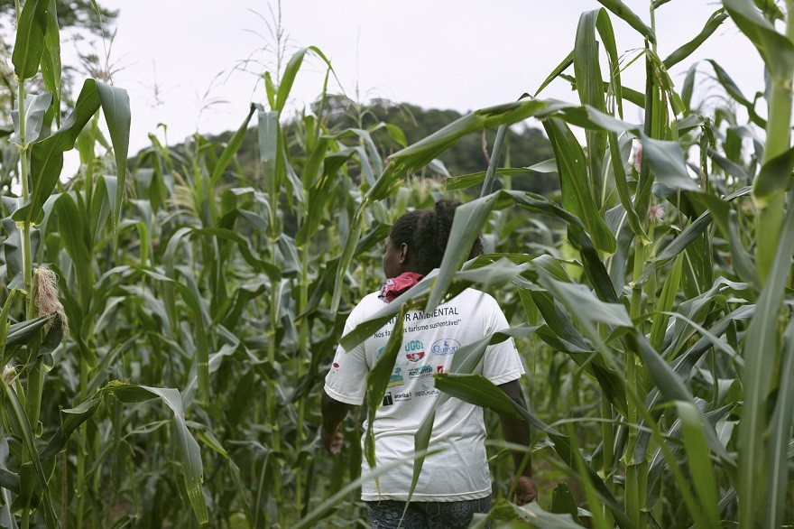 SP_IMAT_Sistema_Agrícola_Vale_do_Ribeira05