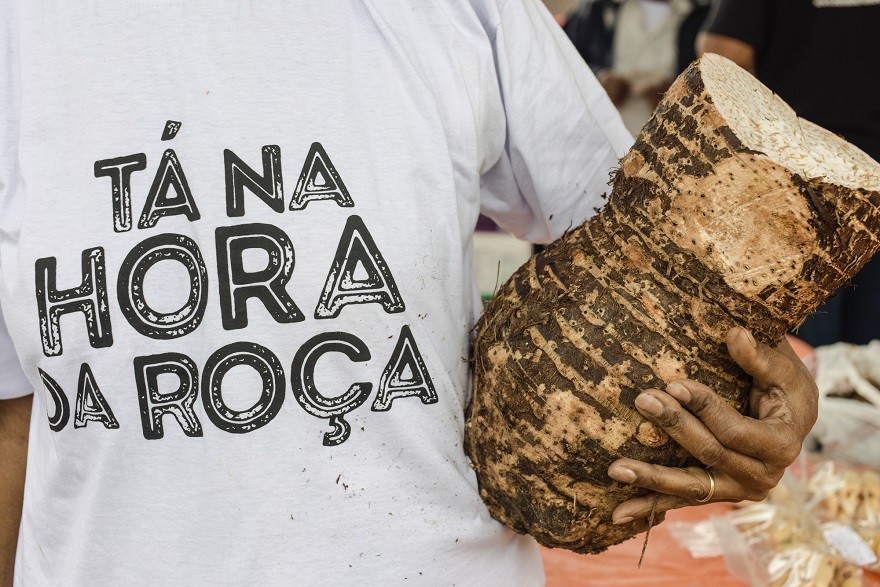 SP_IMAT_Sistema_Agrícola_Vale_do_Ribeira09