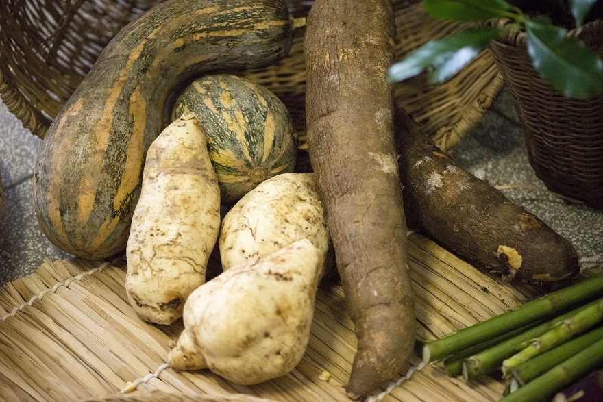 SP_IMAT_Sistema_Agrícola_Vale_do_Ribeira11