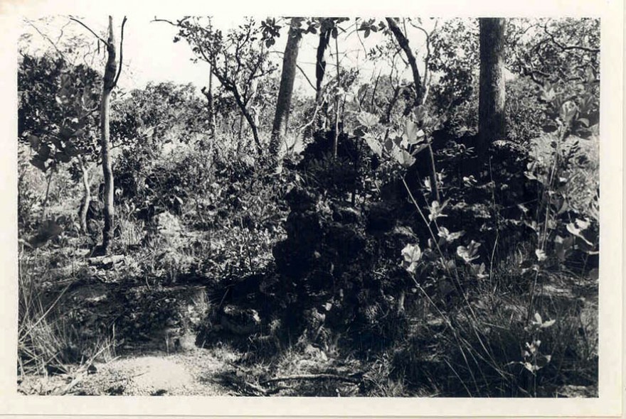 TO_Natividade_igreja