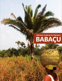 Universo Cultural da Palmeira Babaçu