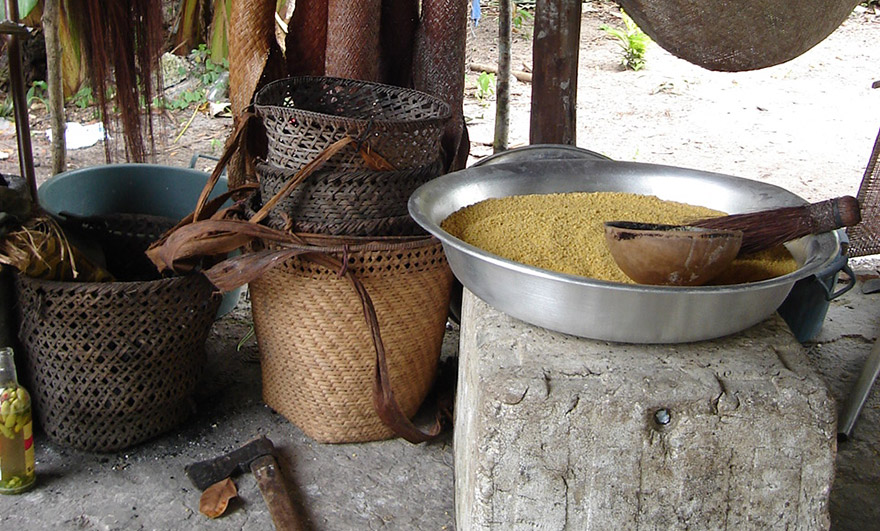 Cultivo da mandioca brava foi registrado pelo Iphan como Patrimônio Cultural do Brasil