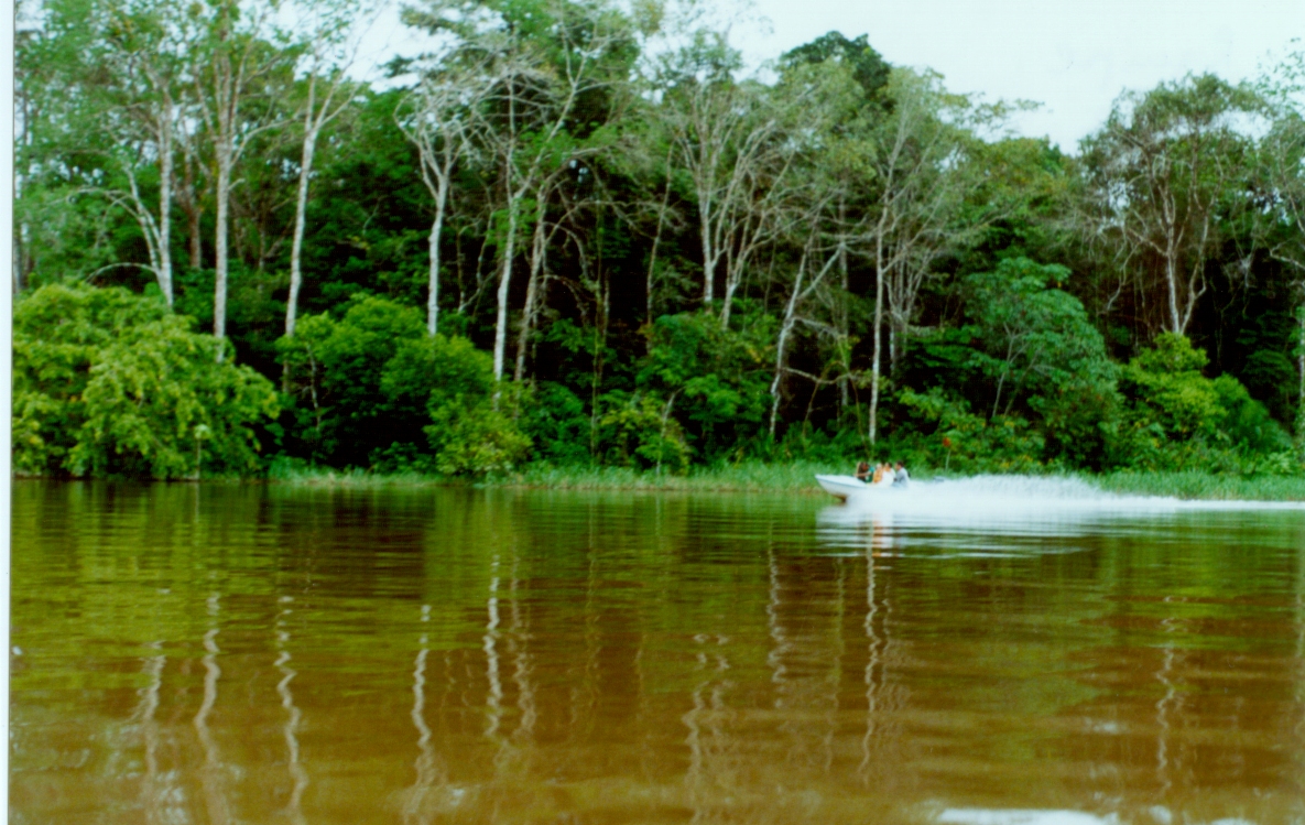O Complexo de Conservação da Amazônia Central, no Amazonas, foi reconhecido pela UNESCO como Patrimônio Mundial Natural.