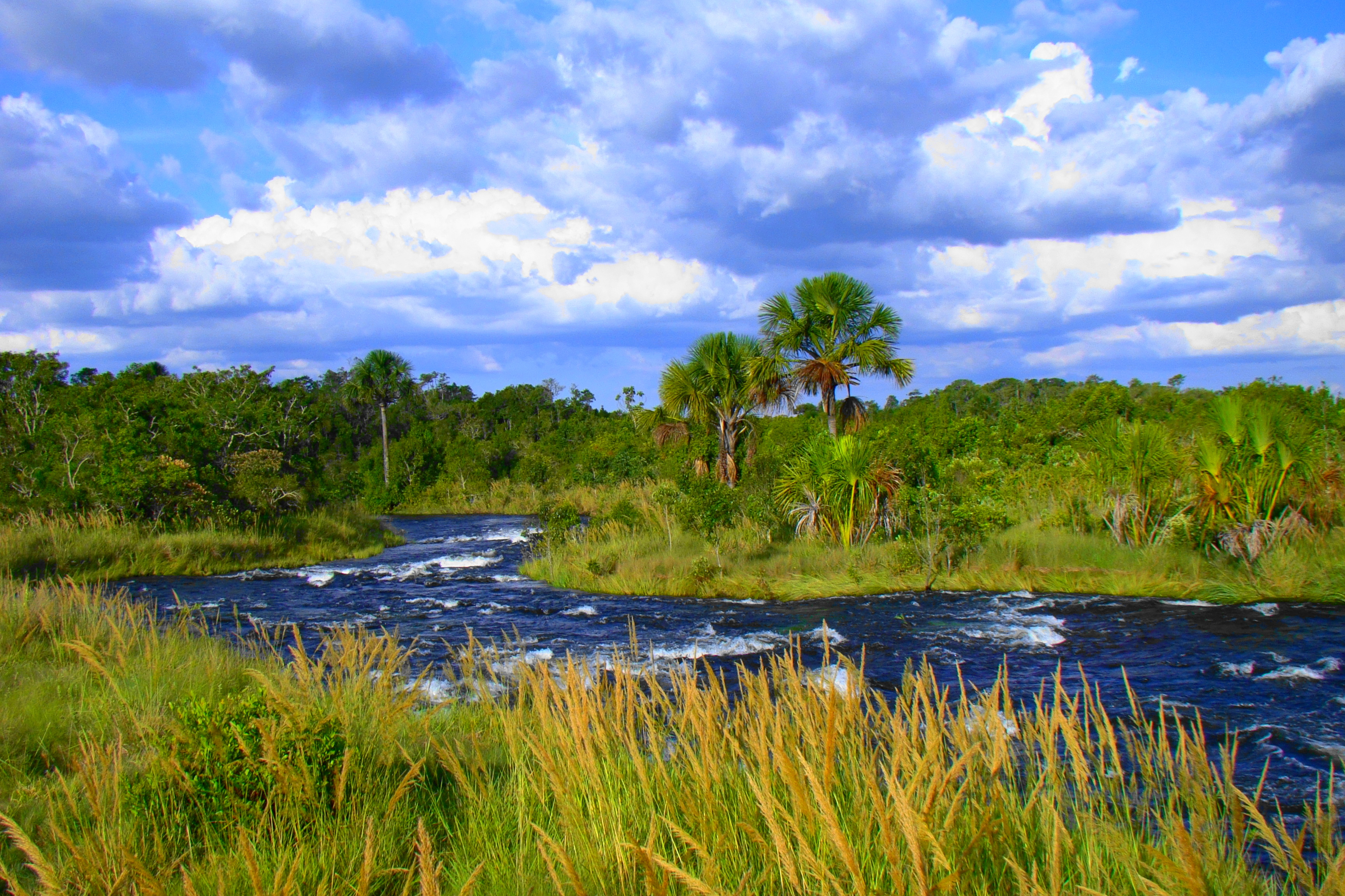 Declarado Patrimônio Mundial Natural, em 2001, o Parque Nacional das Emas está na divisa de Goiás com Mato Grosso e Mato Grosso do Sul.