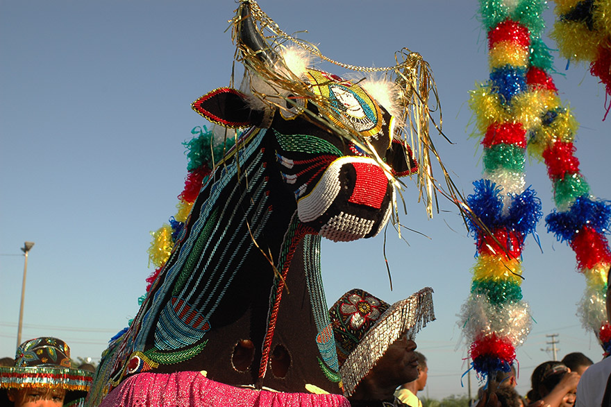 O Bumba meu boi do Maranhão é uma celebração múltipla que congrega diversos bens culturais