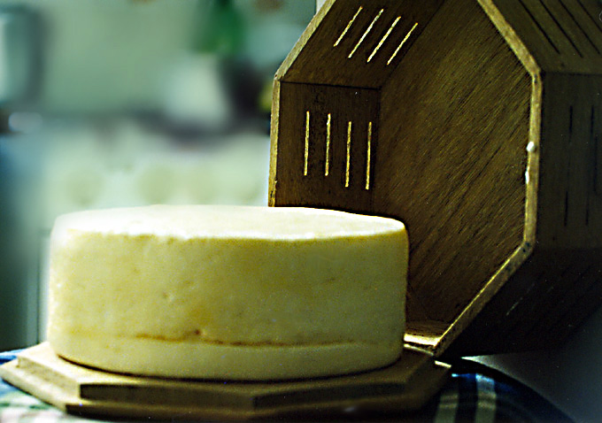 A produção artesanal do queijo de leite cru nas regiões do Serro e das serras da Canastra e do Salitre em Minas representa uma alternativa de conservação e aproveitamento da produção leiteira regional
