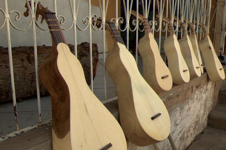 As violas de cocho são naturalmente diferenciadas, em seu tamanho, sonoridade e timbre.