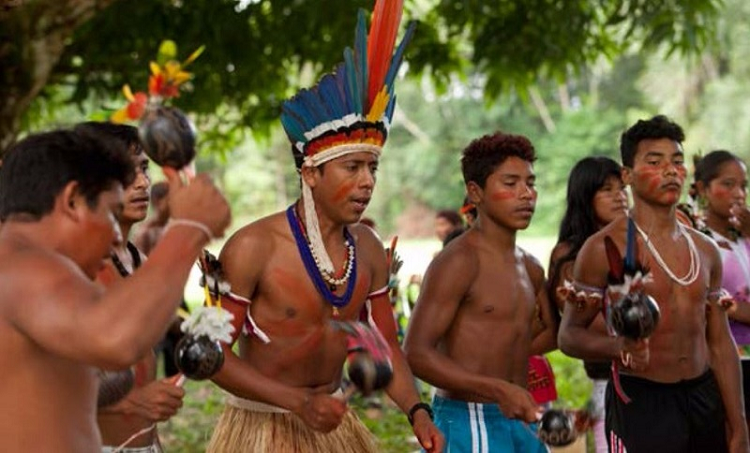 Nos dias 05, na aldeia Gumá, e 06 de junho, na aldeia do Gurupi, localizadas no estado do Pará, acontecerá o lançamento do livro Patrimônio Cultural Tembé-Tenetehara.